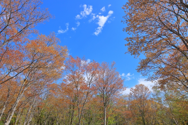 ニセコ昆布温泉郷 