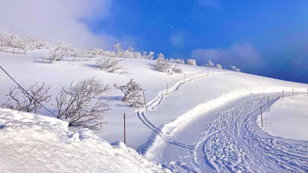 ニセコ スキー場 グラン・ヒラフ