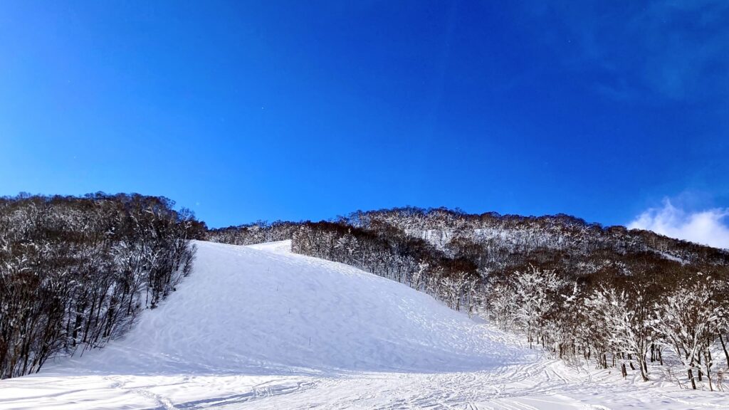 ニセコ スキー場 HANAZONOスキー場