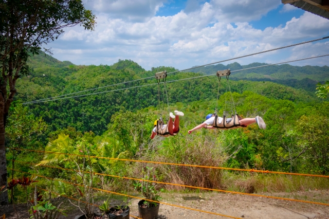 ニセコビレッジ自然体験グラウンド「ピュア」　観光