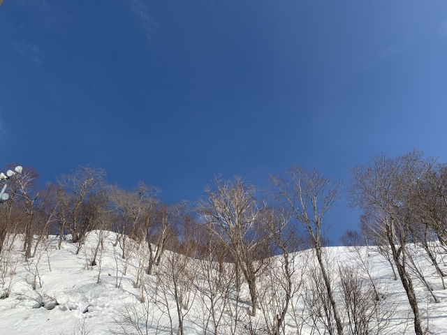 ニセコ スキー場 滑りやすいゲレンデ