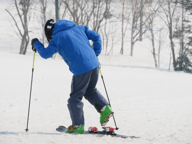スキー場　ニセコ　観光