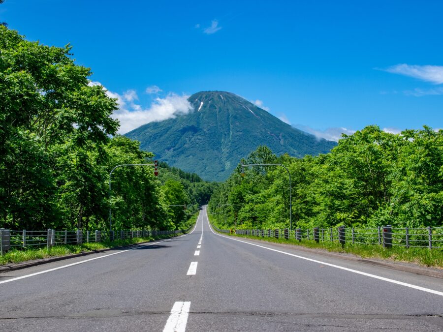 ニセコ　羊蹄山　観光