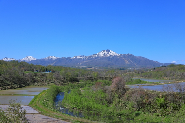ニセコ　新緑のニセコアンヌプリ